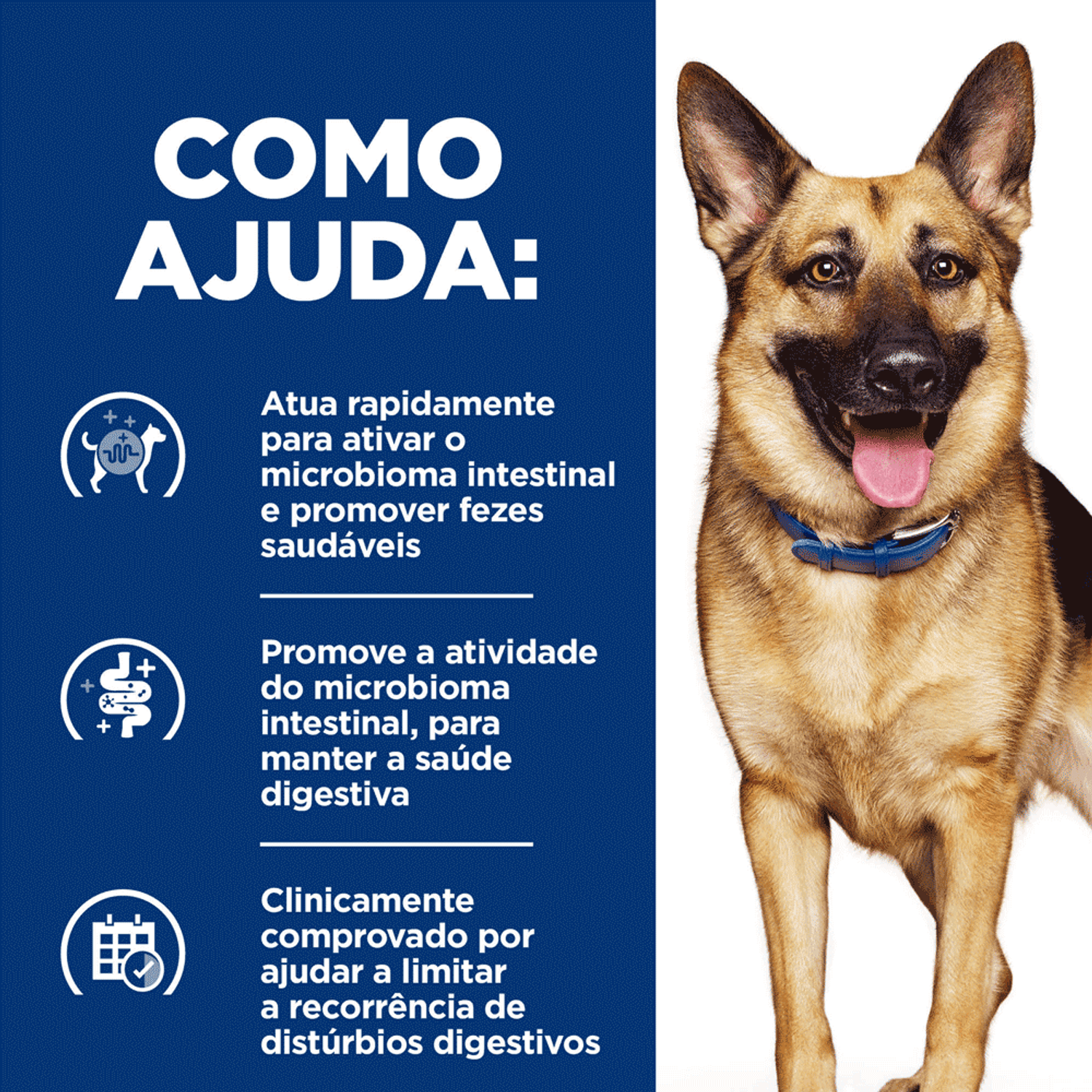 Como-Ajuda-a-Racao-Hill-s-Prescription-Diet-Caes-Adultos-Gastrointestinal-Biome