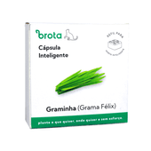 Refil para Horta Inteligente Graminha Brota Company