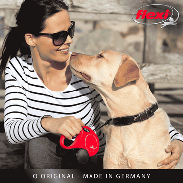 Guia Retrátil New Classic 5 M Flexi Azul Cachorro Usando