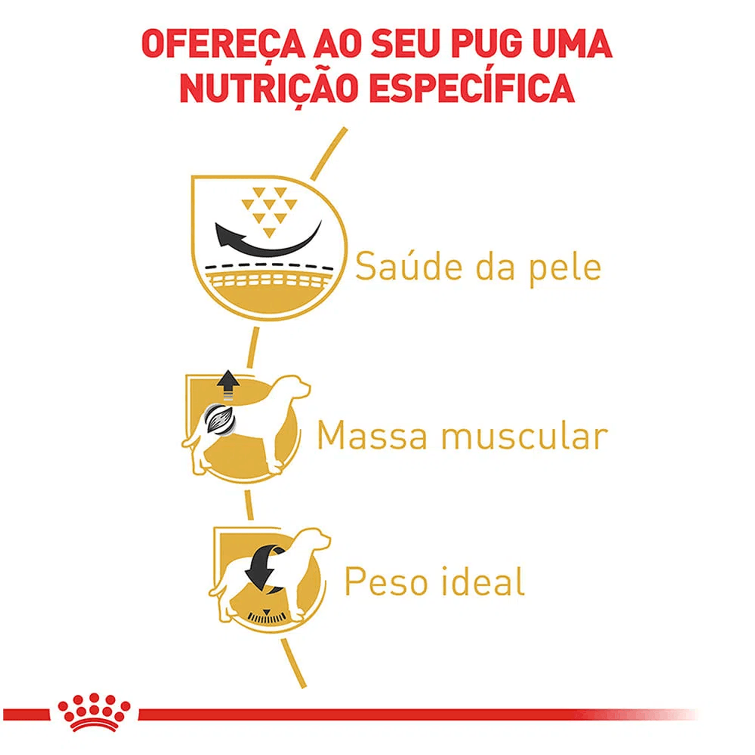 Ração Royal Canin Pug Adulto Benefícios