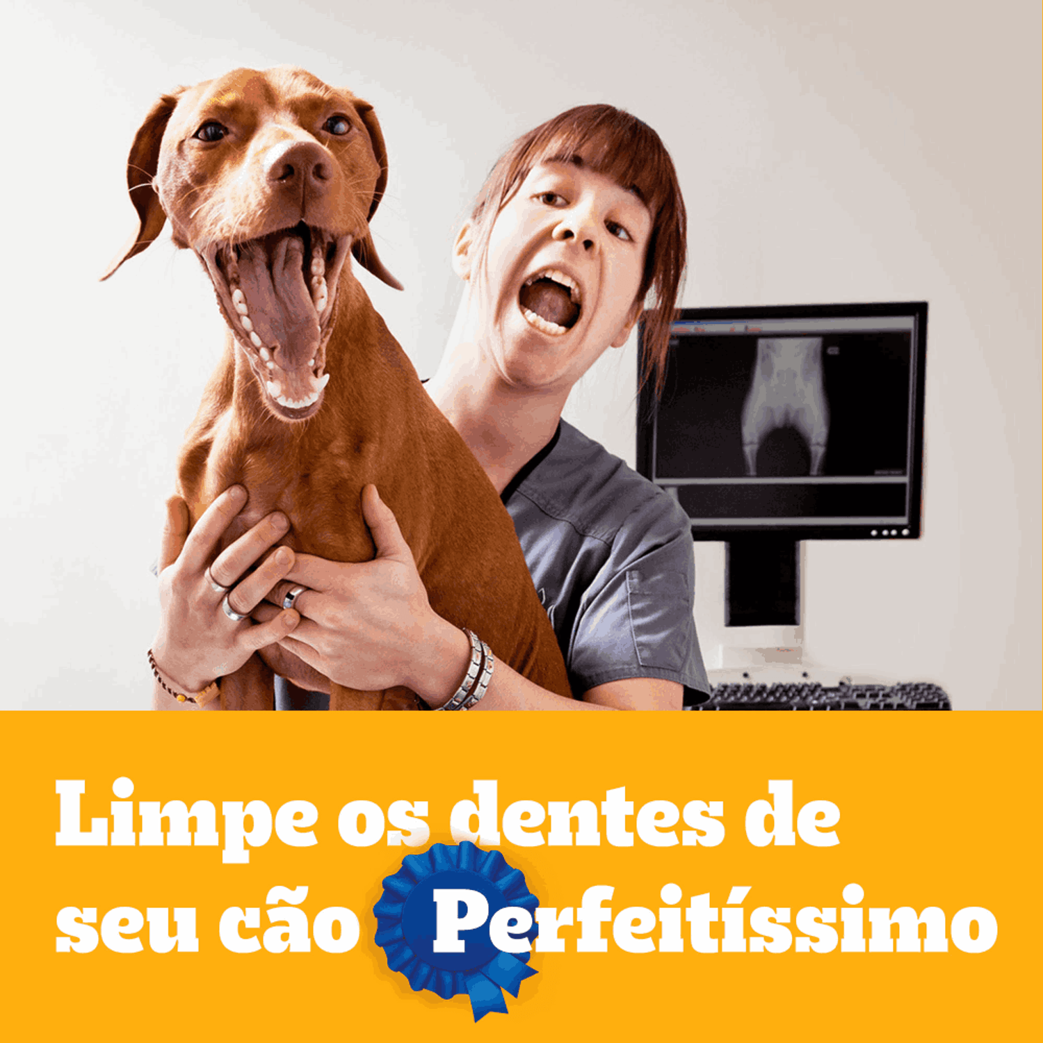 petisco-pedigree-dentastix-cuidado-oral-caes-adultos-racas-medias-3--unidades