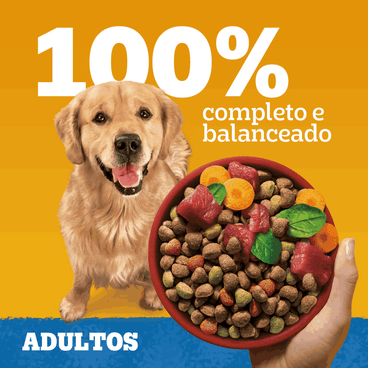 vRacao-Pedigree-Carne-e-Vegetais-Caes-Adultos-Racas-Medias-e-Grandes