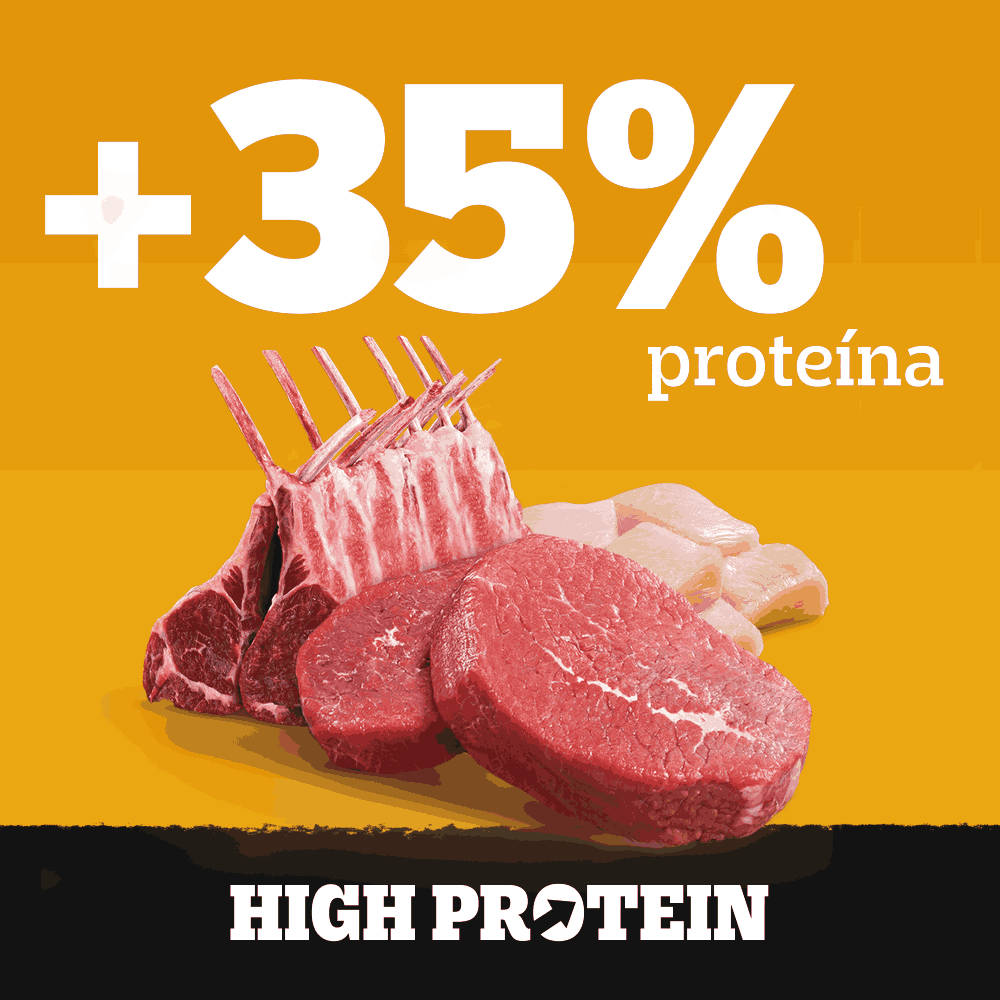 Ração Úmida Pedigree Sachê High Protein Cães Adultos Carne e Frango