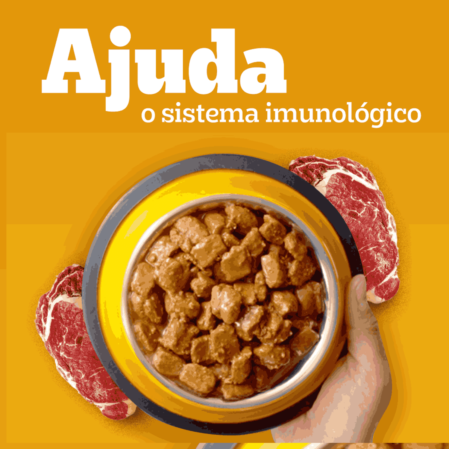 Racao-Umida-Pedigree-High-Protein-Caes-Adultos-Carne-e-Frango