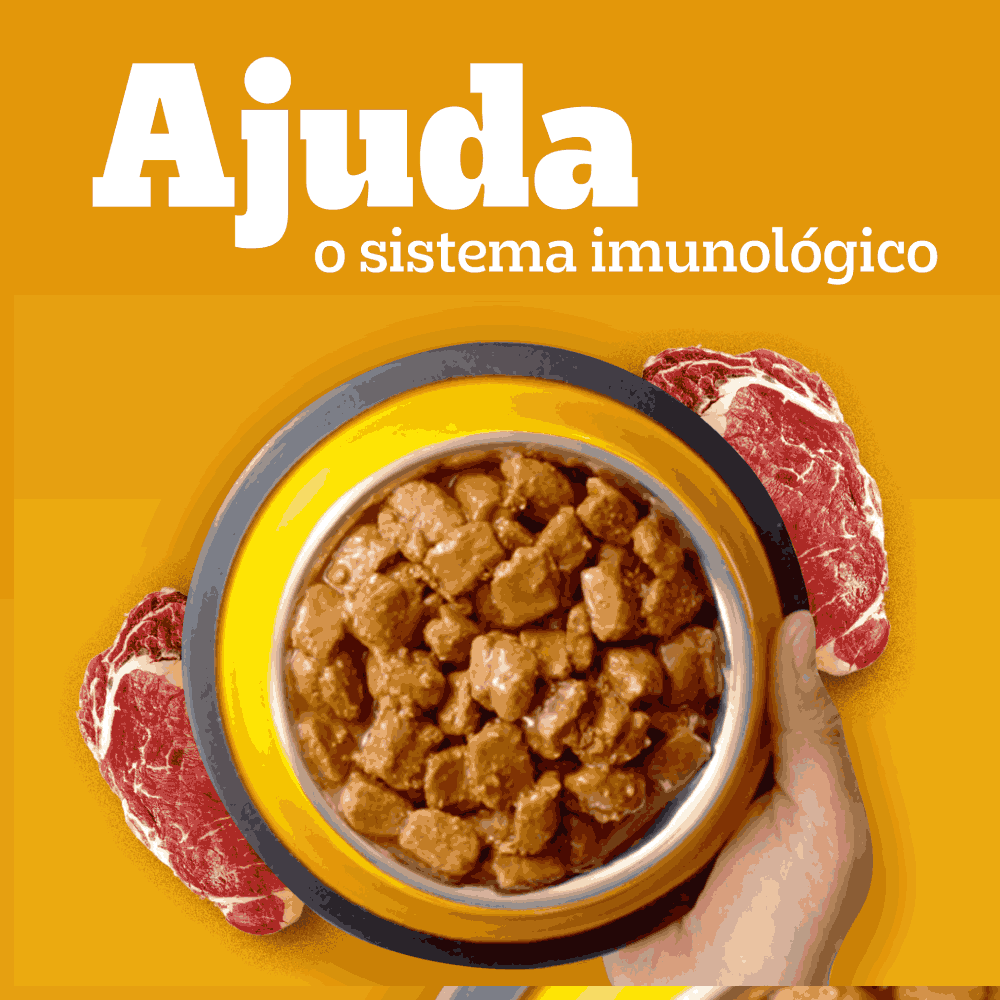 Ração Úmida Pedigree Sachê High Protein Cães Adultos Porco e Carne ao Molho
