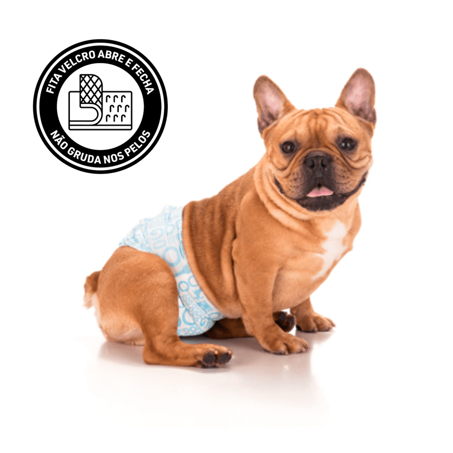 Cachorro-Usando-a-Fralda-Higienica-Macho-Dogs-Care