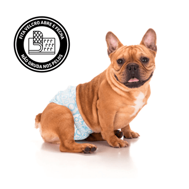 Cachorro-Usando-a-Fralda-Higienica-Macho-Dogs-Care