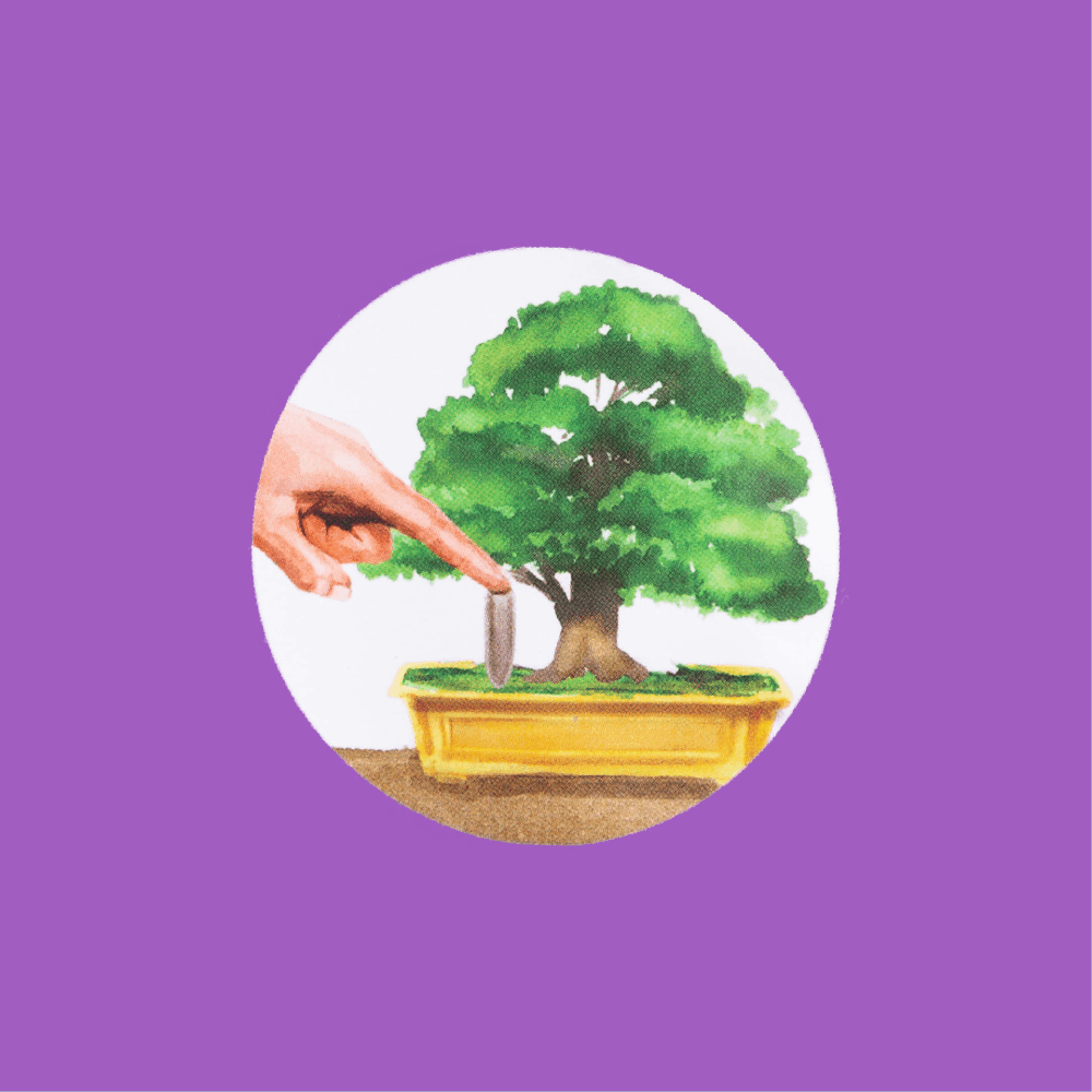 Fertilizante Orgânico para Bonsai Mr. Spike
