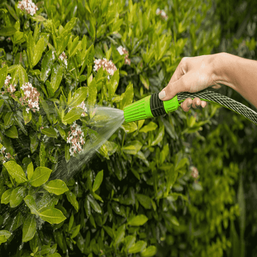 Mangueira Trançada Plus para Jardim West Garden