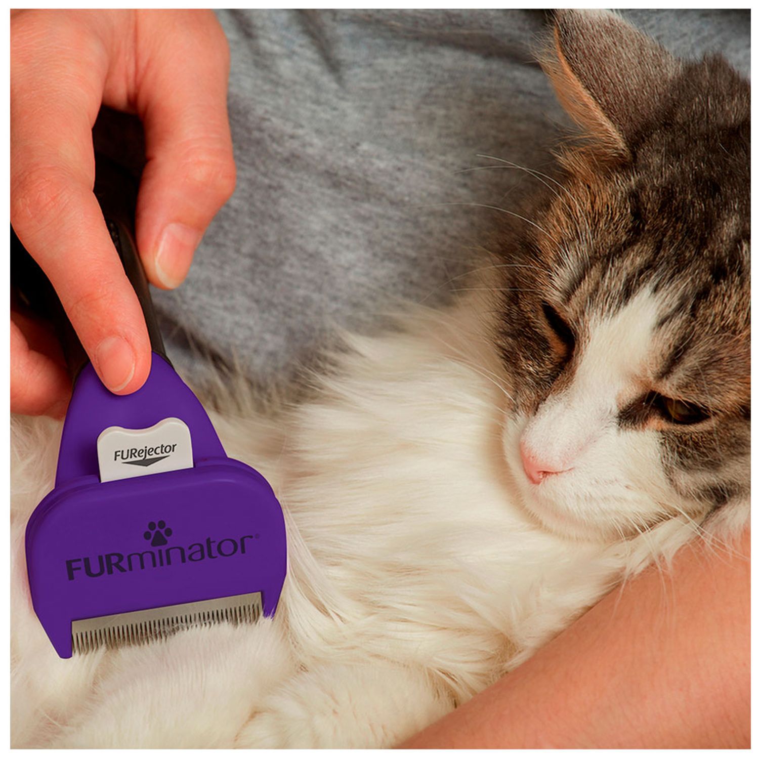 Furminator-M-e-G-para-Gatos-Ambientada-03