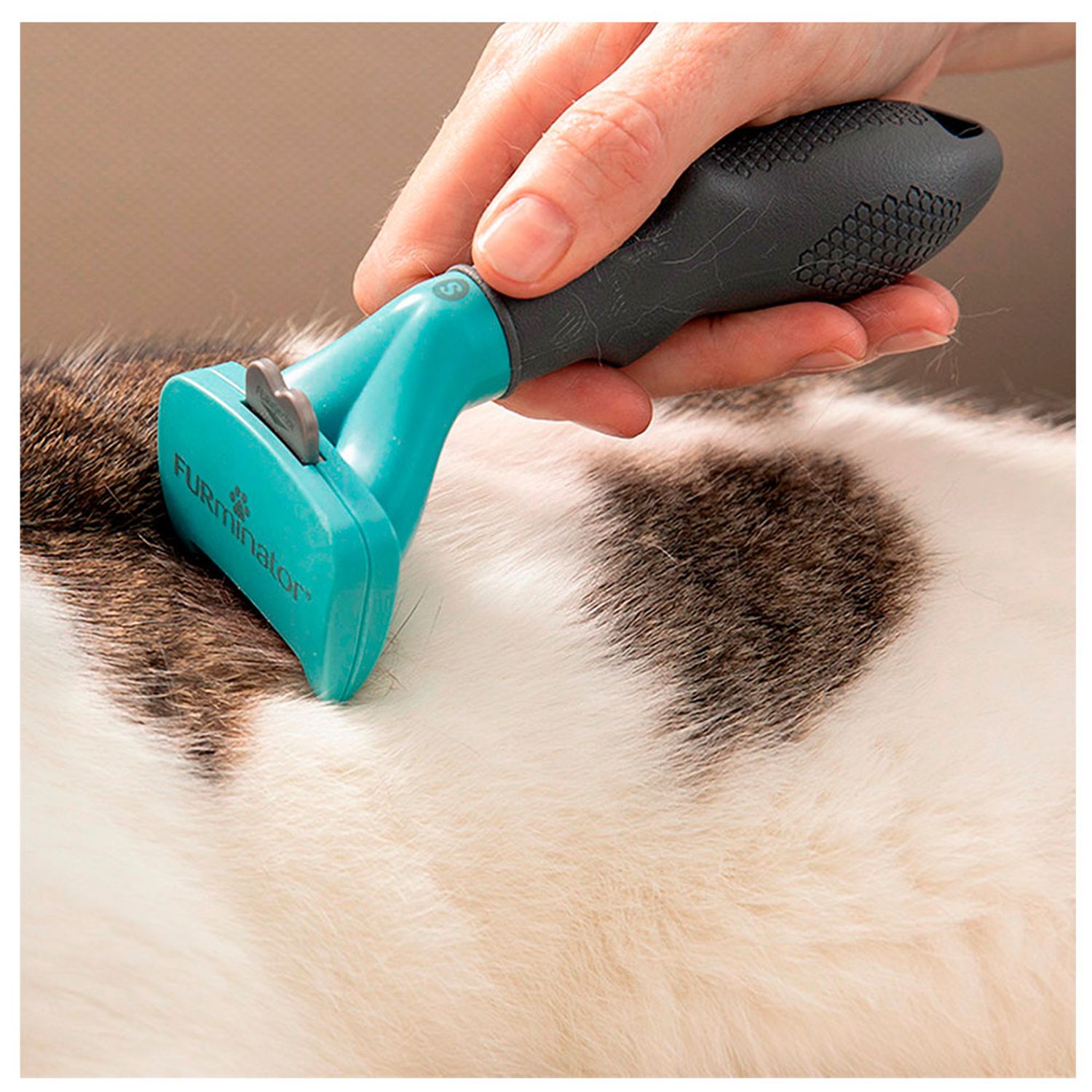 Furminator-para-Gatos-Pelo-Curto-Ambientada-02