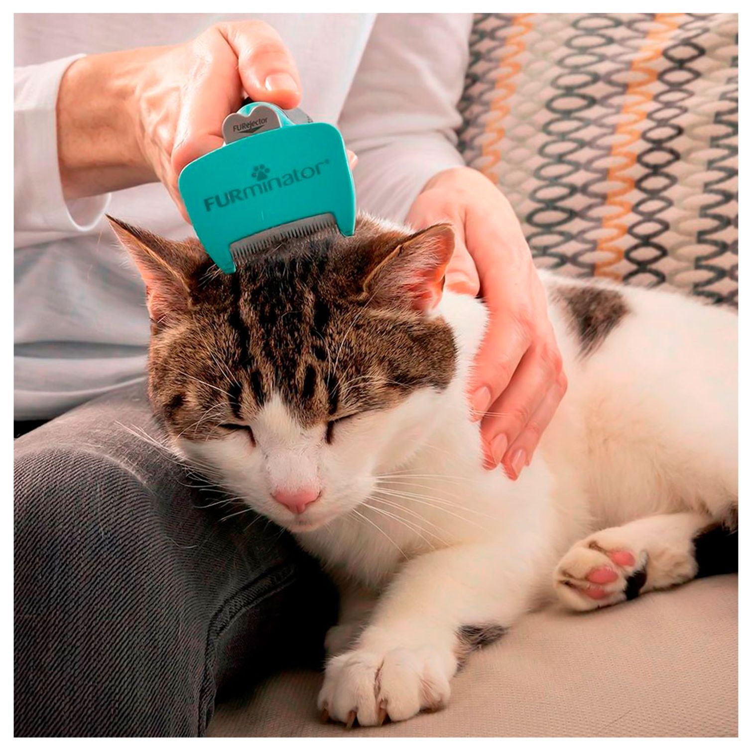 Furminator-para-Gatos-Pelo-Longo-Ambientada--01