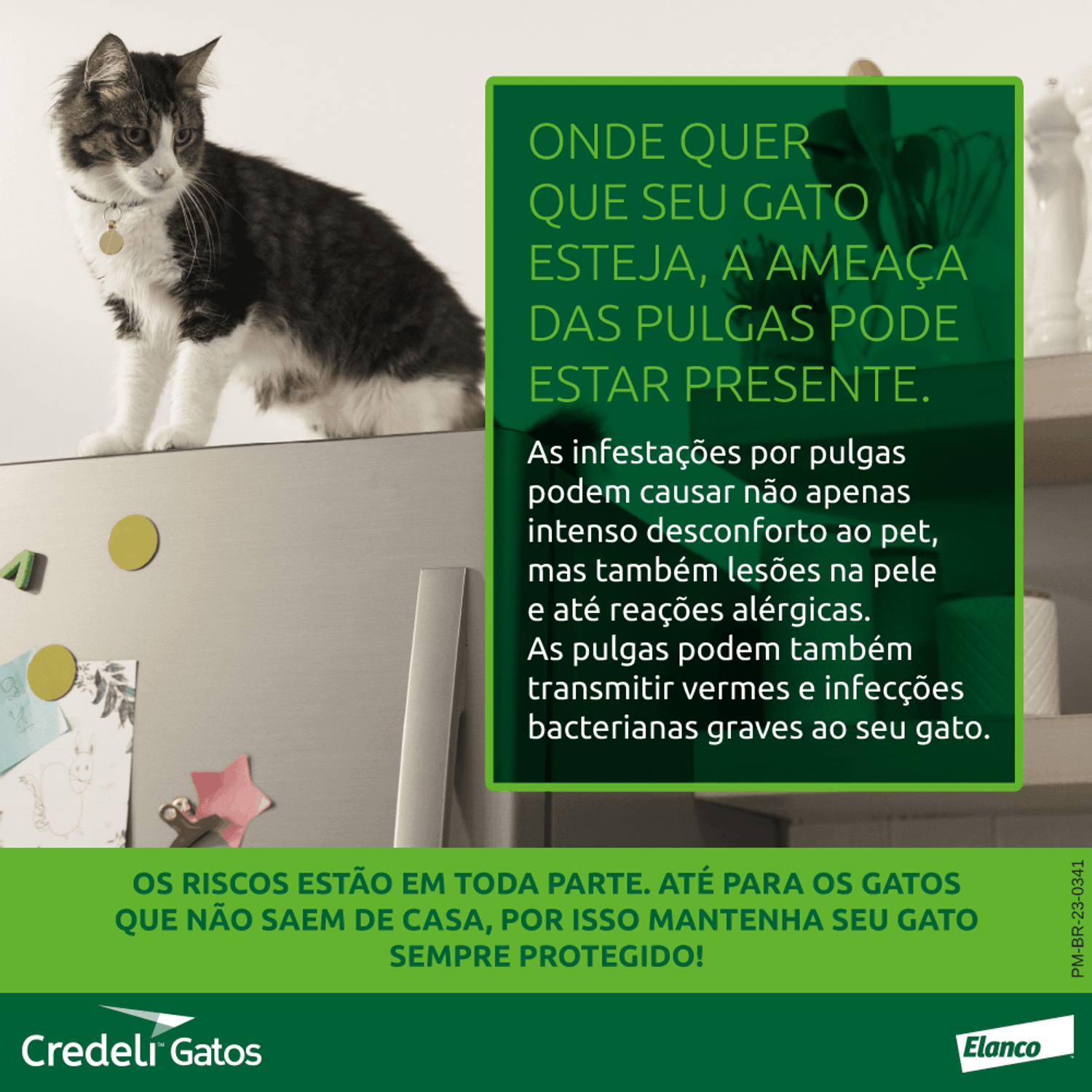 banner credeli