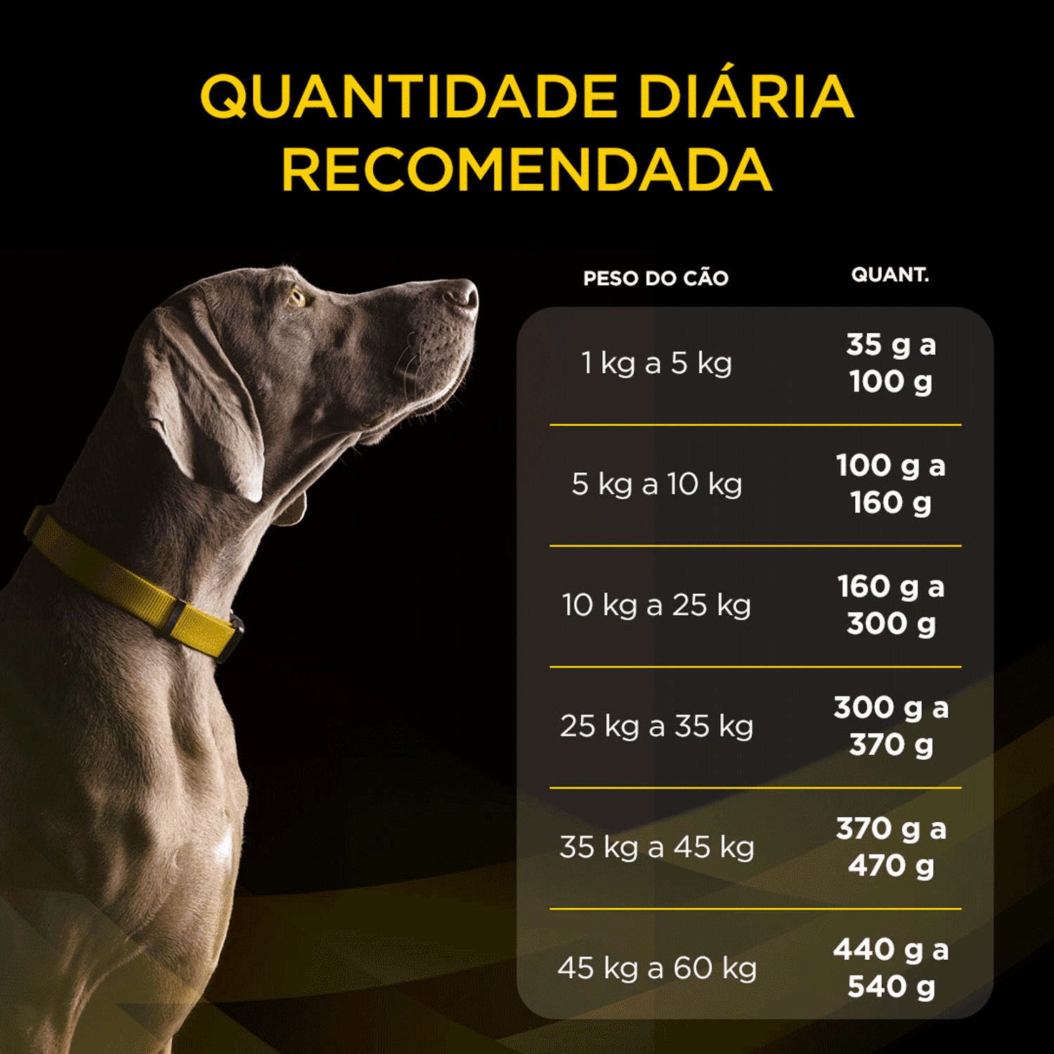 Quantidade-Diaria-Recomendada