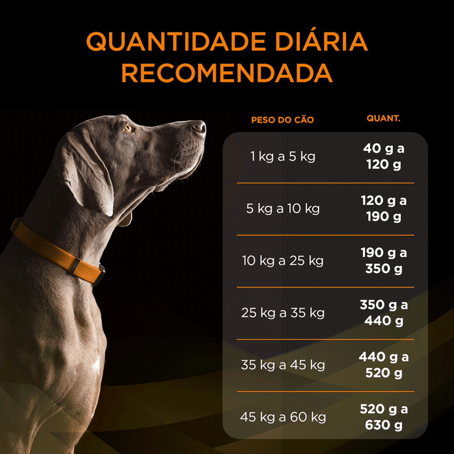Quantidade-DIaria-Recomendada