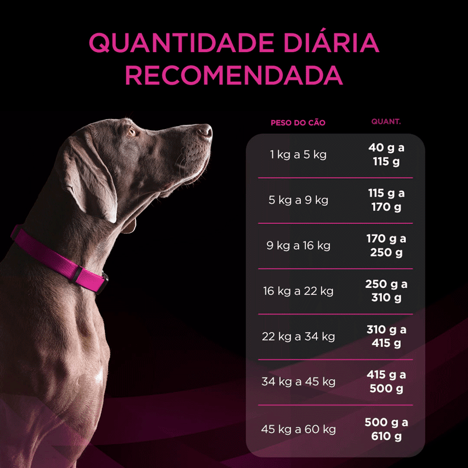 Quantidade-Diaria-Recomendada