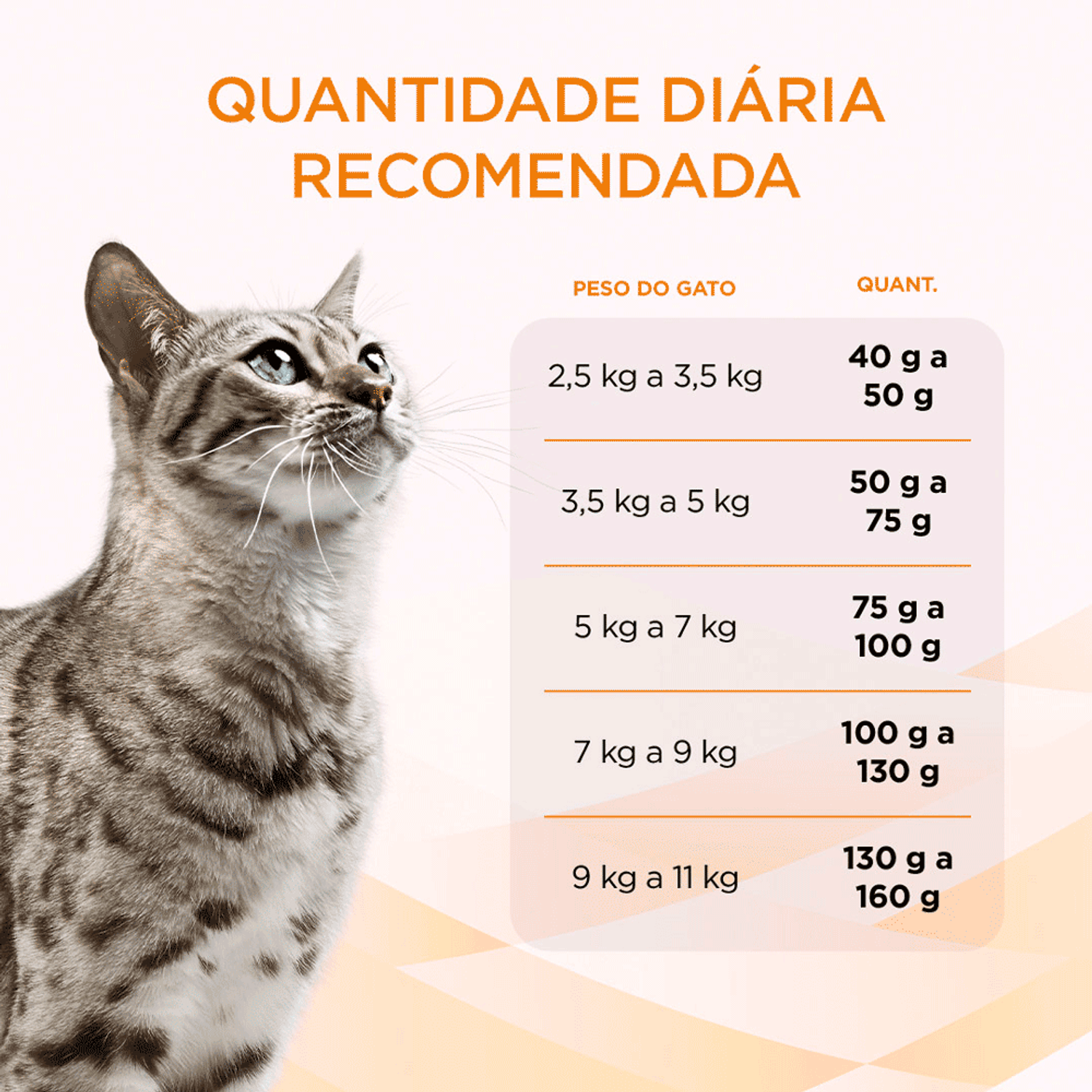 Quantidade-Diaria-Recomendada