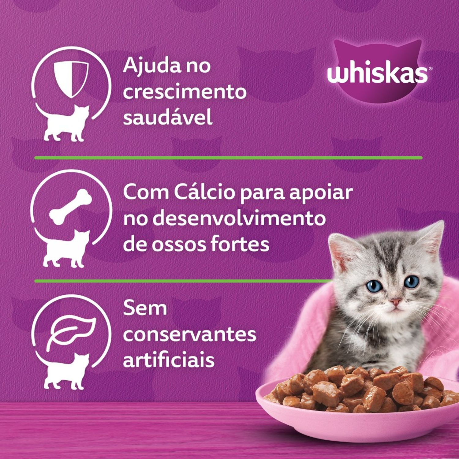 Banner Whiskas Sachê