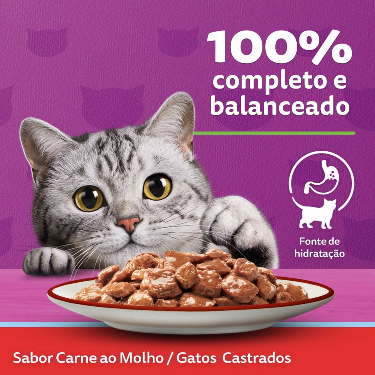 Racao Umida Whiskas gatos castrados carne