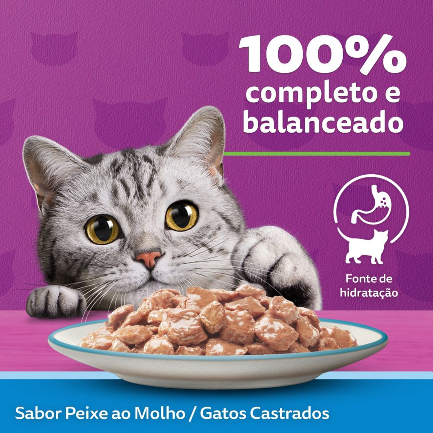 100% completo e balanceado