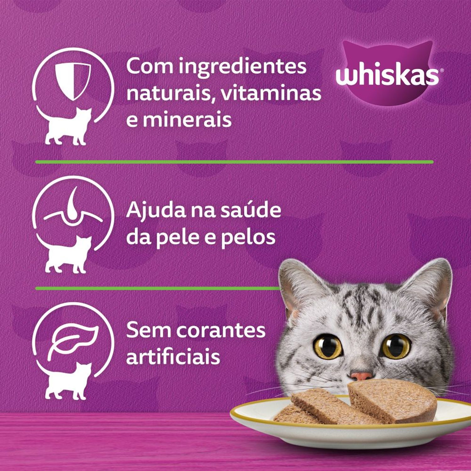 Racao-Umida-Whiskas-Pate-Frango-290-g