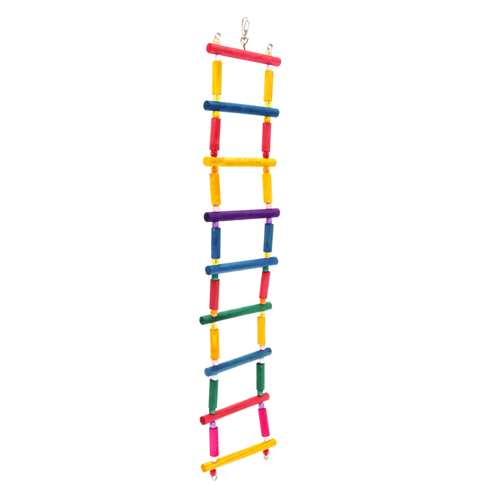 Escada 9 Degraus para Pássaros Kakatoo