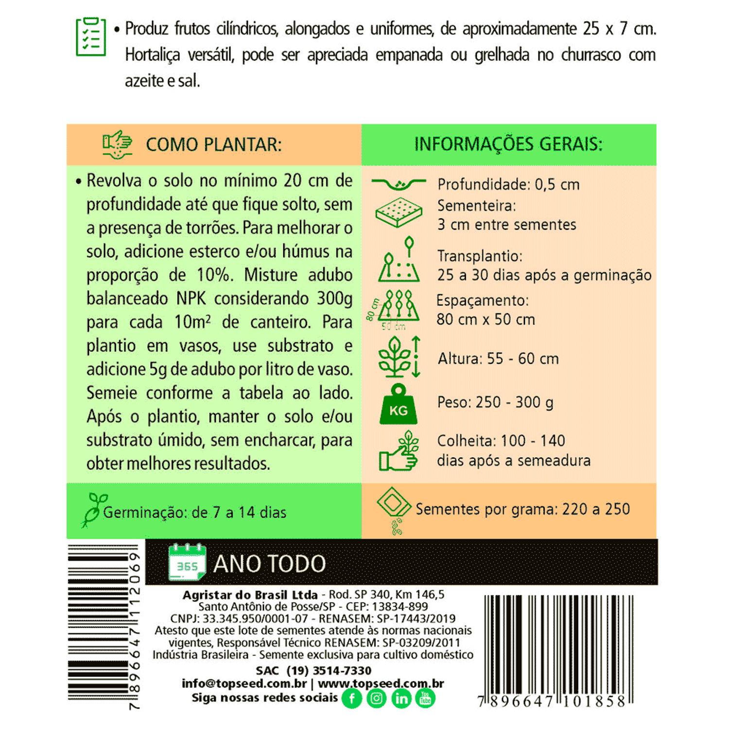 Informações das Sementes de Berinjela Comprida Roxa Tradicional Topseed Garden