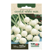 Sementes de Cebola Crystal White Wax Tradicional Topseed Garden