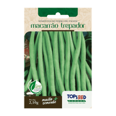 Sementes de Feijão de Vagem Macarrão Trepador Tradicional Topseed Garden