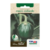 Sementes de Jiló Morro Redondo Tradicional Topseed Garden