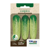 Sementes de Pepino Caipira Tradicional Topseed Garden