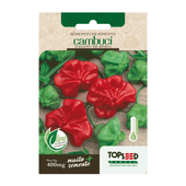 Sementes de Pimenta Chapéu de Bispo Tradicional Topseed Garden