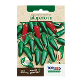 Sementes de Pimenta Jalapeno Tradicional Topseed Garden