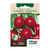 Sementes de Rabanete Crimson Gigante Tradicional Topseed Garden