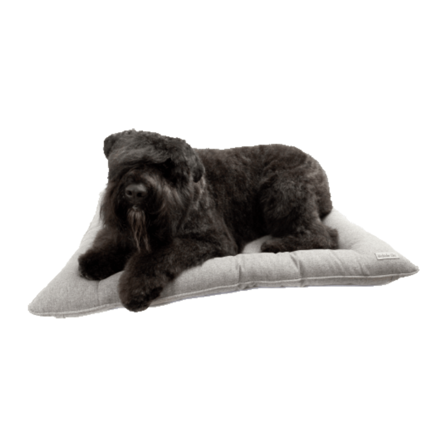 Colchonete-Veneza-Bichinho-Chic-Cinza-com-Pet-Deitado