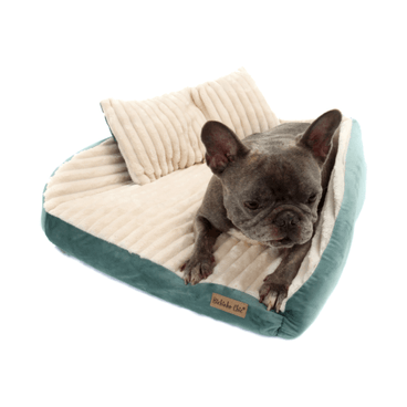 Cama-Roma-Bichinho-Chic-Marfim-com-Verde-com-Almofada-com-Pet