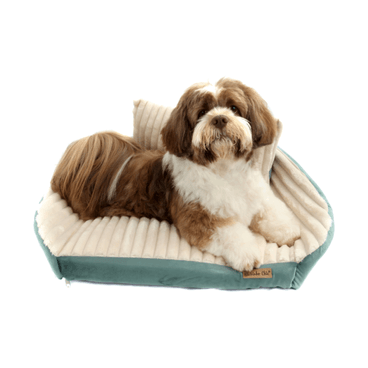 Cama-Roma-Bichinho-Chic-Marfim-com-Verde-com-Almofada-com-Pet