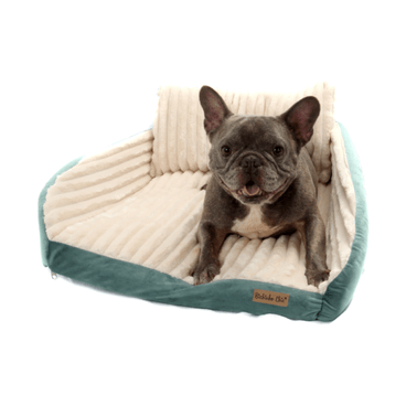 Cama-Roma-Bichinho-Chic-Marfim-com-Verde-com-Almofada-com-Pet