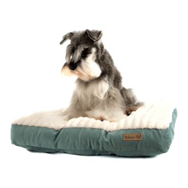 Colchao-Roma-Bichinho-Chic-Marfim-com-Verde-com-Pet-Sentado