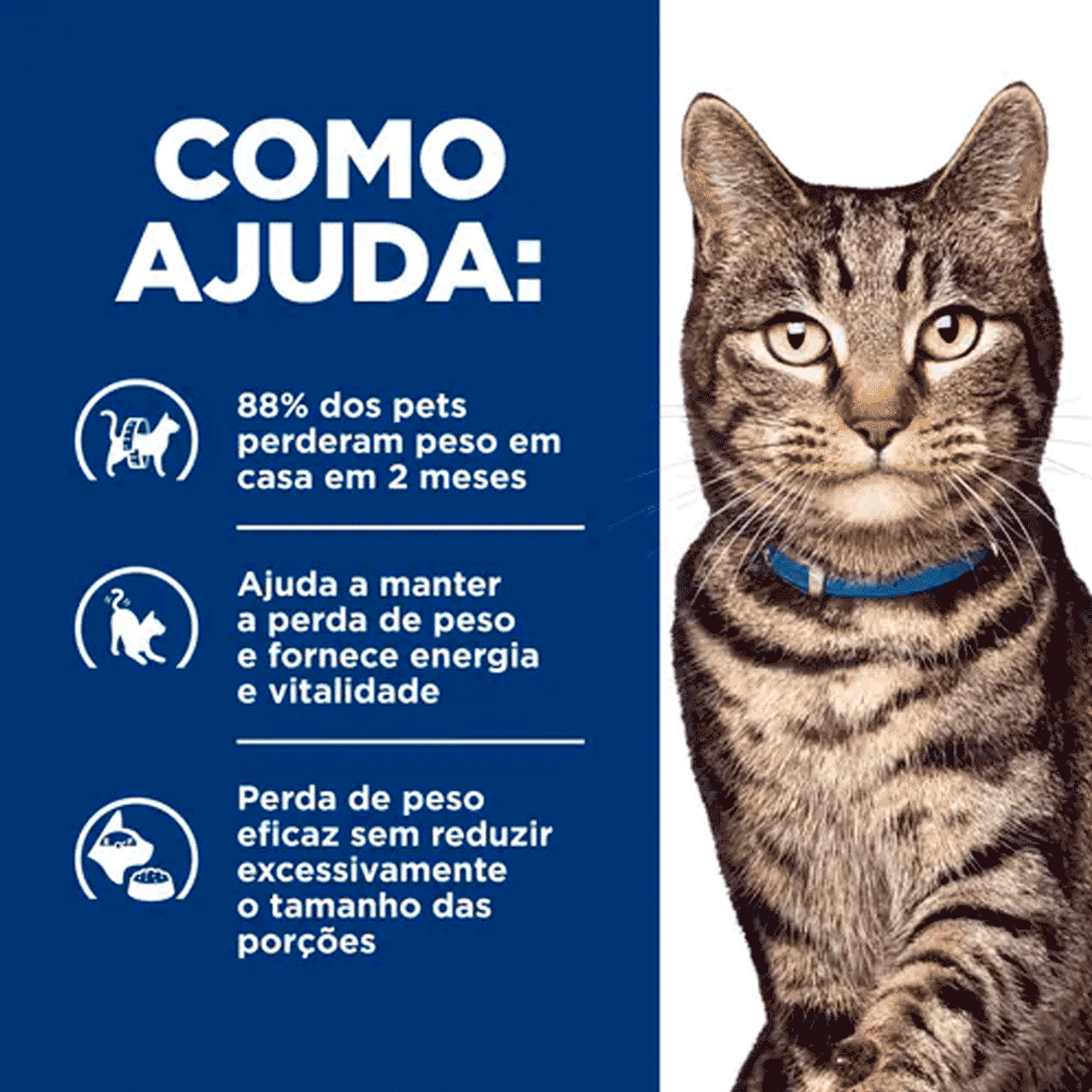 Como-a-Racao-Hills-Ajuda