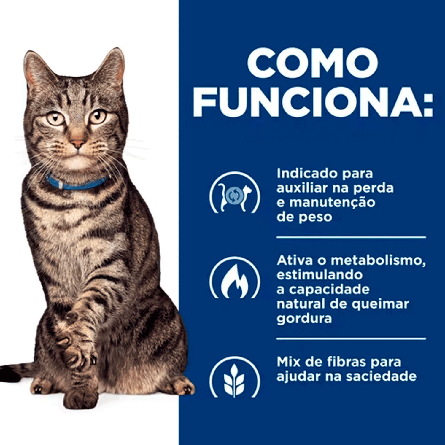Como-a-Racao-Hills-Funciona