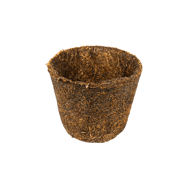 Vaso de Fibra de Coco Natural Coquim Nº 3
