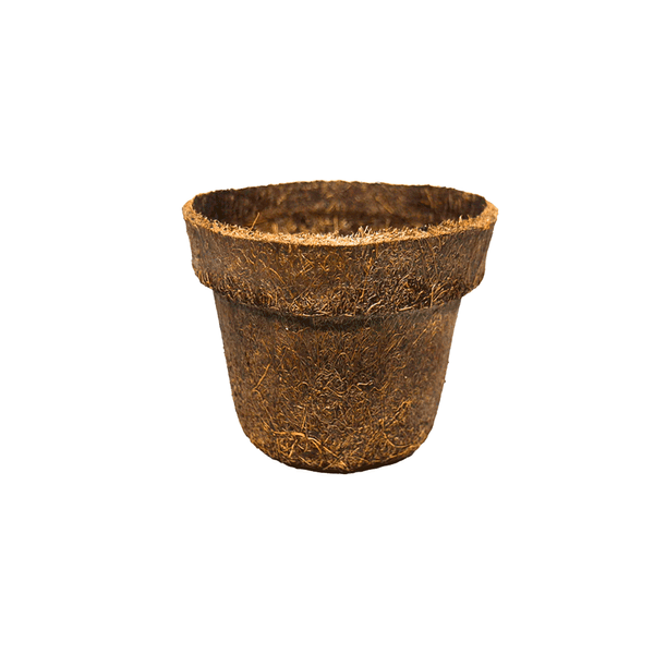 Vaso de Fibra de Coco Natural Coquim Nº 5