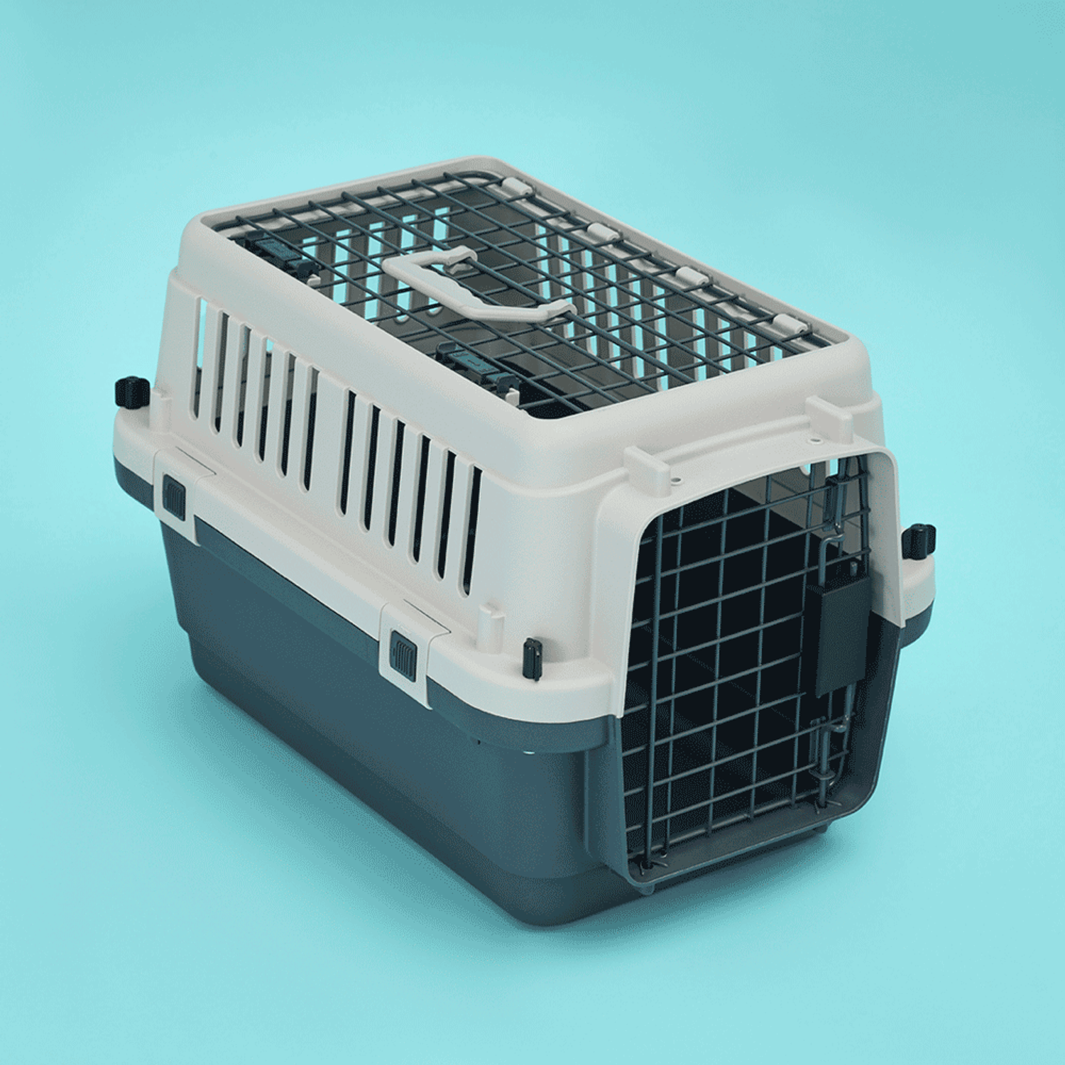 Caixa-de-Transporte-Open-Top-C-Pet-com-Fundo-Azul