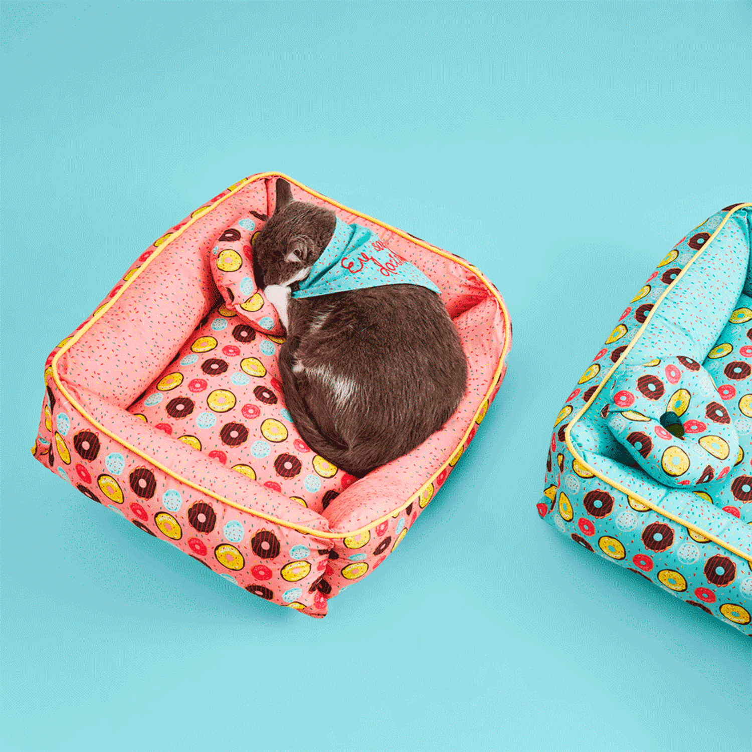 Gato-Dormindo-na-Cama-Donuts-Emporium-Distripet