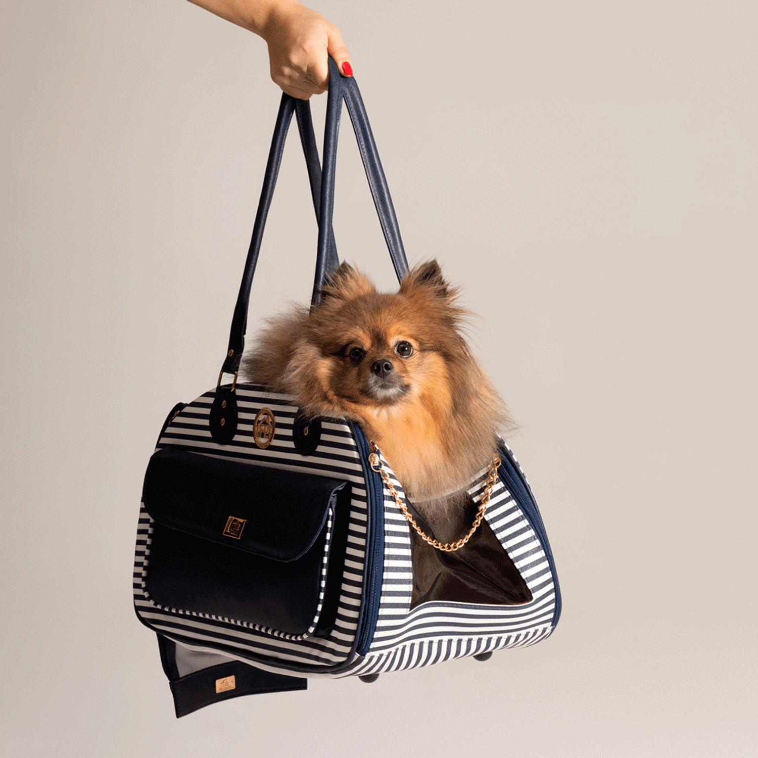 Splitz dentro da Bolsa de Transporte Fechada Luxo Fábrica Pet Ocean