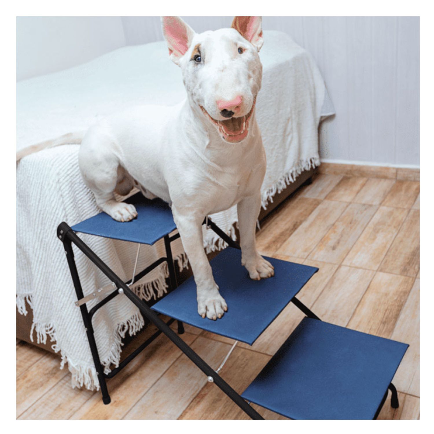 Escada-Big-Tubline-Azul-com-o-cachorro