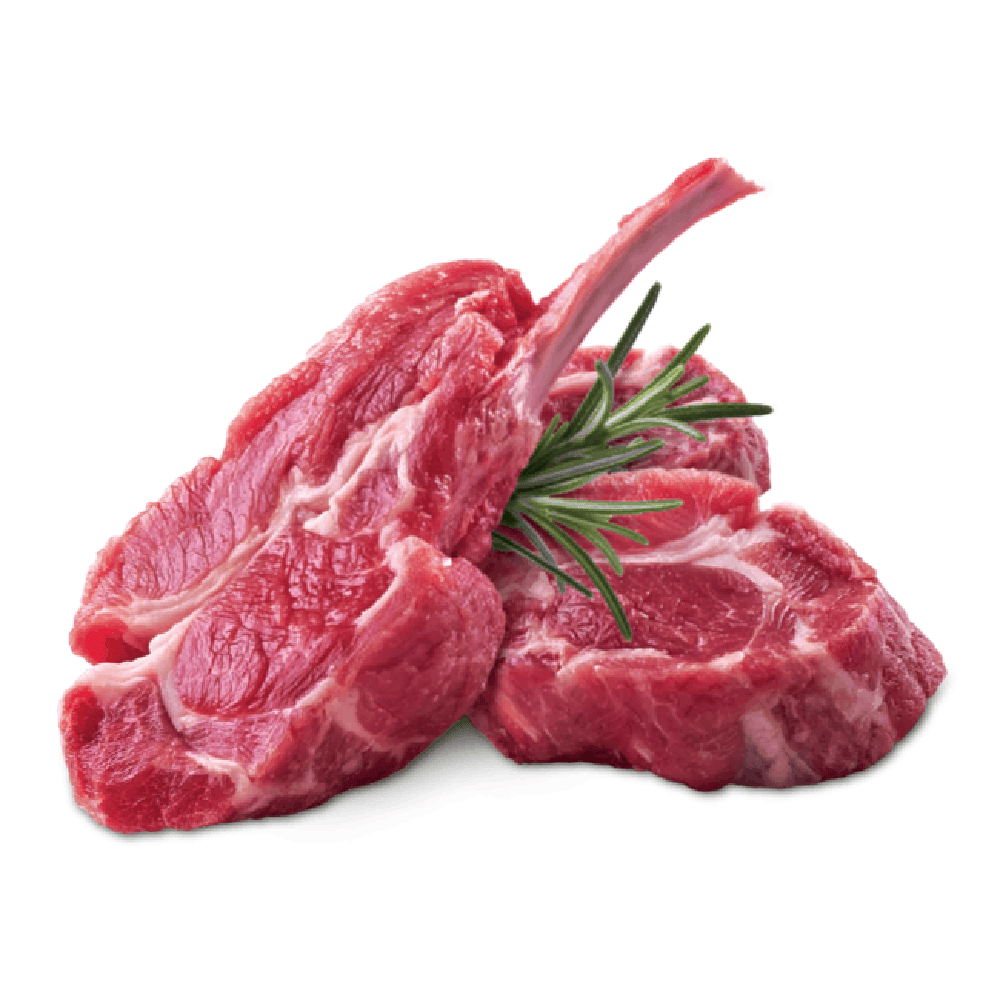 Ração Úmida GranPlus Cães Adultos Patê Gourmet Ovelha
