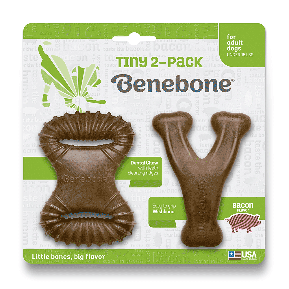 Kit Brinquedo Mordedor Benebone para Cães Tiny Bacon