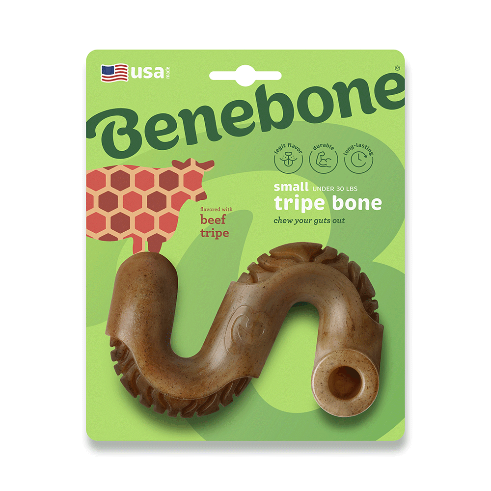Brinquedo Mordedor Benebone Tripe Bone
